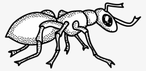 This Free Icons Png Design Of Ant - Clip Art Black And White Ant