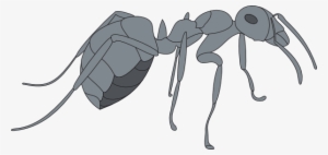 3d Gray Ant Svg Clip Arts 600 X 284 Px