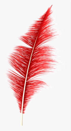 Dream Feather Png - Feather
