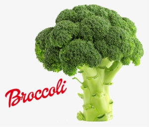 Broccoli Png Image - Does Fruit And Veg Give You