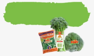 The Count Down Is Over, But The Celebration Of Broccoli - Foxy Organic Broccoli