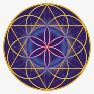 Home The Flower Of Life Ion Apothecary - Seed Of Life Color