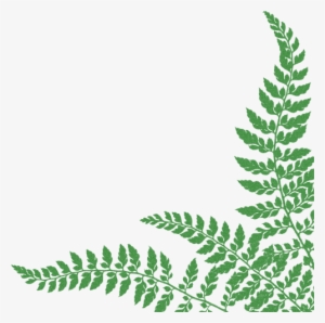 Free Icons Png - Ferns Leaf Transparent Background