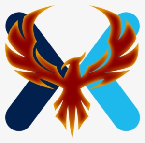I Am One Of The Founding Members Of Tribe Phoenix - Discord