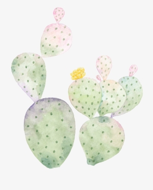 Hand Painted Cactus Png Transparent - Cactus And Succulent Clipart