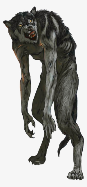 Werewolf Png - Werewolf Narnia