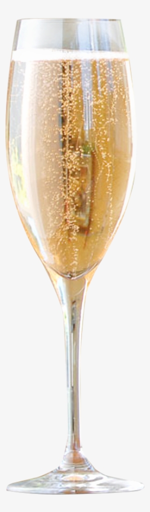 Champagne Flute Set Of 6