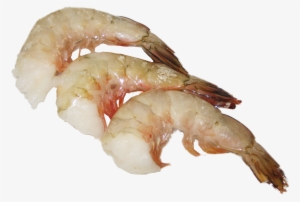 Wild Usa Gulf Shrimp Litopenaues Setiferus - Botan Shrimp