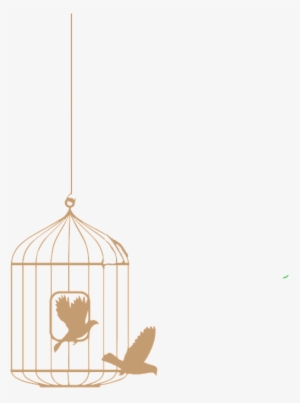 Cage Cagedbird Gold Birds Freetoedit - Bird