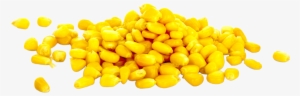100% Corn Mashes - Maize