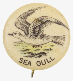Sea Gull - Museum