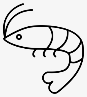 Png File - Line Art