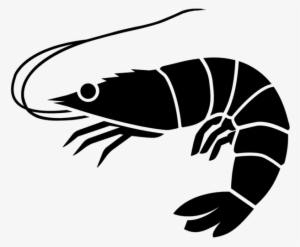 Shrimp - Shrimp Png Black And White