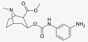 Cocaine Analog 223g - Ethyl Succinate
