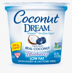 Coconut Non-dairy Yogurt, Blueberry - Dream Yogurt