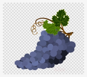 Download Bowl Of Grapes Transparent Background Clipart - Grape