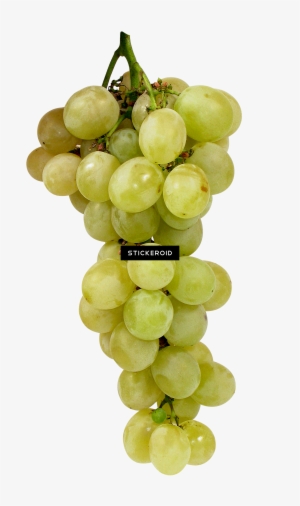 Green Grape - Grape