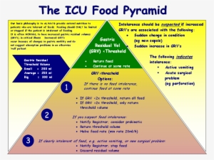 Click Here For A Larger Viewicu Food Pyramid - Andrew Mech