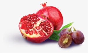 Pomegranate Grape Seed Extracts - Processed Products Of Pomegranate