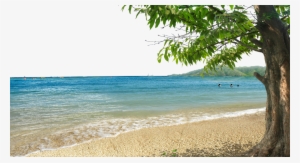 Beach Png Background - Transparent Background Beach Png