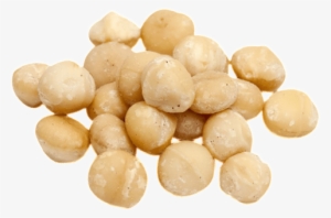 Macadamia Nuts Transparent Image - Orzechy Macadamia Bio 20 Kg Horeca Bio Planet