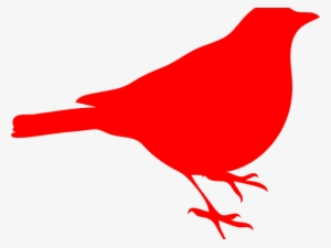 Red Robin Bird Cartoon