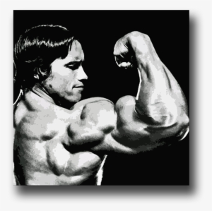 Image Of Arnold Schwarzenegger - Arnold Schwarzenegger Mister Muscle
