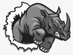 Rhino Solutions - Rhino Vector