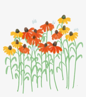 Daisies In A Bunch