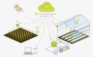 The Agriculture Ai Brain - Agriculture