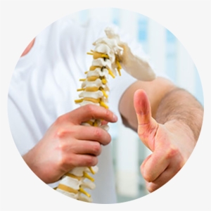 Chiropractic Spine Png - Physical Therapy