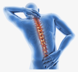 Spine Pain - Ankylosing Spondylitis: Diagnosis And Management -