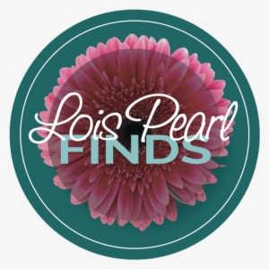 Lois Pearl "finds" Box - Barberton Daisy