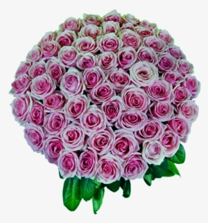 50 Pink Roses Bouquet - Flower Bouquet