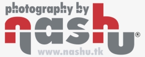 Photography By Nashu Logo Png Transparent - Vector Graphics
