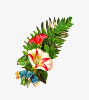 Fern Clipart - Artificial Flower
