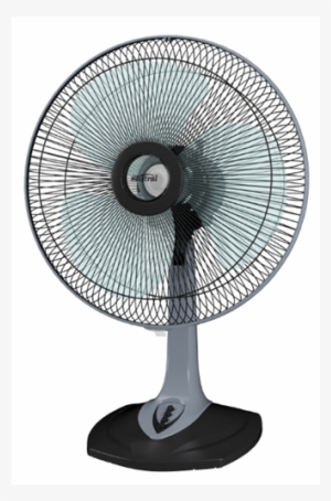 Fan