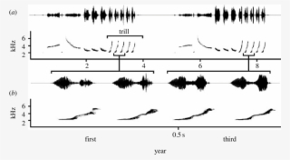 A Waveform And Spectrogram Of A Song Stimulus Pair - Song