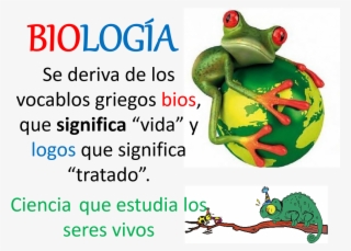 Ramas De La Biología - Frog 3d