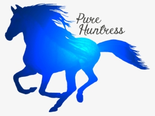 Pure Huntress Pure Huntress
