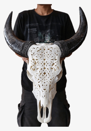 Horn