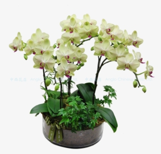 Flowerpot
