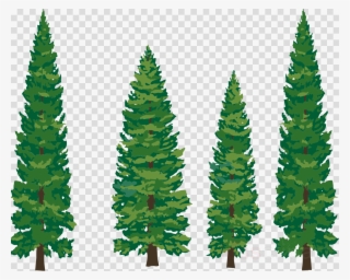 Download Drawn Pine Tree Clipart Fir Lodgepole Pine - Free Pine Trees Silhouettes