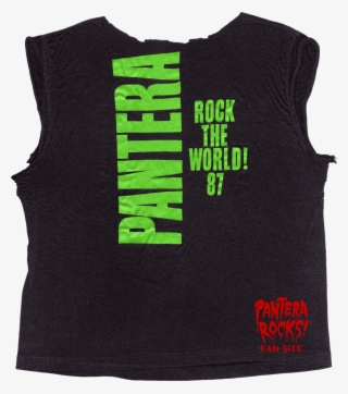 Picture - T Shirt Pantera Rock