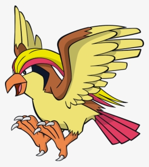 Vector Freeuse Pidgeot Pok Mon Wiki Fandom Powered - Pidgeot Pokemon