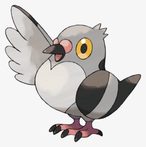 Almost Two Decades After The Misleading Named Pidgey, - Pigeon Pokemon