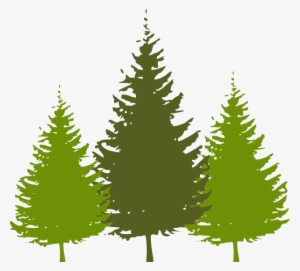 Oregon Clipart Oregon Tree Clipart - Redwood Tree Clipart