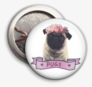 Pug Pink Label - Twice Is Nice Ahs