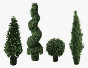 Topiary Trees - Artificial Bay Cone Topiary Tree