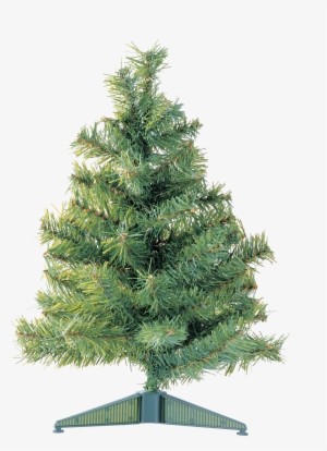 Christmas Tree Png - Undecorated Christmas Tree